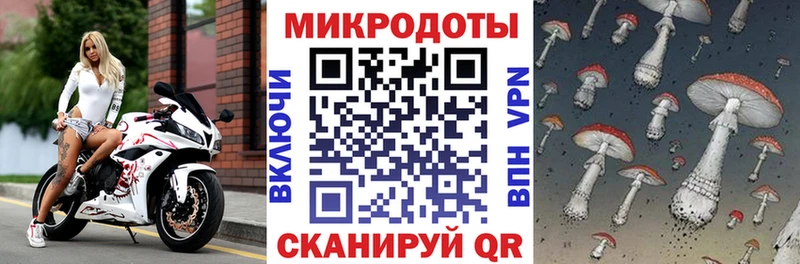 Галлюциногенные грибы ЛСД  наркота  Щигры 
