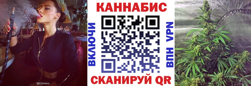 Бошки Шишки семена  mega вход  Щигры  купить наркотики цена 
